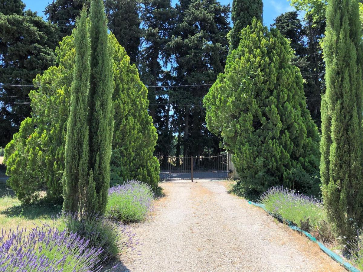 ホテル La Caumontoise エクステリア 写真